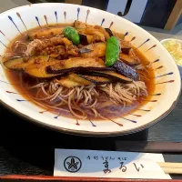 Snapdishの料理写真:まだまだ『冷やし肉茄子蕎麦』😋|アライさんさん