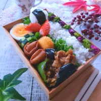 Snapdishの料理写真:豚肉茄子味噌炒め弁当| sugar beansさん