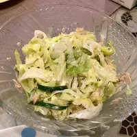 Snapdishの料理写真:コールスローサラダ🥗😋|アライさんさん