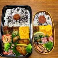 Snapdishの料理写真:今日のお弁当🍱|Riemamaさん