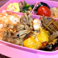 Snapdishの料理写真:久しぶりの娘のお弁当🍱|mokoさん