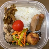 Snapdishの料理写真:タッパー弁当|まむさん