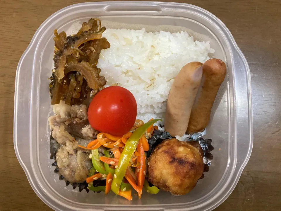 Snapdishの料理写真:タッパー弁当|まむさん