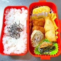 Snapdishの料理写真:茶色おかず弁当|あおのりさん