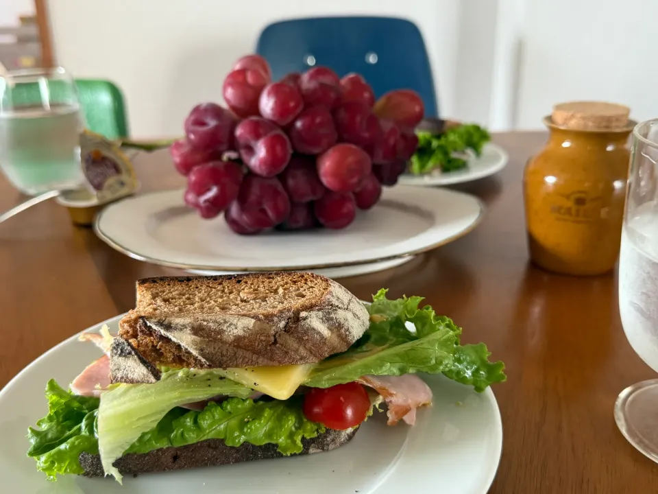 フランスで買ってきたマスタードとチーズでサンドイッチ🥪|takosさん