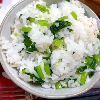 Snapdishの料理写真:カブの茎と葉の混ぜご飯🍚|Ponoさん