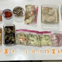 Snapdishの料理写真:作り置き・小分け作業終了。毎週ルーティンの家事の１つ。左上から。☆鮭（小分け・お弁当用）☆プチトマト（お弁当用）☆秋刀魚のほぐし身☆鮭と野菜ミックスのみそマヨ漬け（下味冷凍）☆鶏むねの塩茹で☆ハンバーグ☆厚揚げの生姜煮☆揚げ茄子の煮浸し☆野菜ミックス（小分け）×３☆豚バラ（小分け）☆豚こま（小分け）|Saharaさん