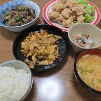 Snapdishの料理写真:ごぼうと豚こま味噌炒め・ナスと挽き肉・塩から揚げ・鮗の酢の物・ご飯・味噌汁🌺|chiyukiさん