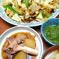 Snapdishの料理写真:回鍋肉　じゃがいもとイカの煮物|しゅがーさん