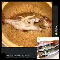 Snapdishの料理写真:タイは🐟もちろん『鯛めし』😋|アライさんさん