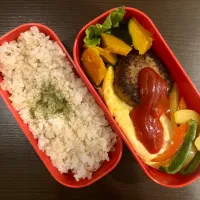 Snapdishの料理写真:ハンバーグ&オムレツ弁当|tatsuponさん