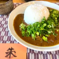 Snapdishの料理写真:宇治 カレー朱（レッド） 「スジねぎカレー」|Hiro Yanさん