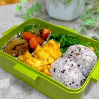 Snapdishの料理写真:ビーフシチュー弁当🍱|くまちゃんさん