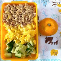 Snapdishの料理写真:今日のお弁当|かれんさん