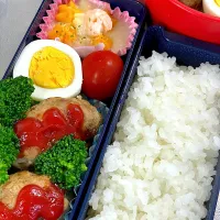 Snapdishの料理写真:今日のお弁当🍱|＊C＊さん