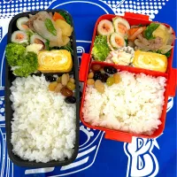 Snapdishの料理写真:週の始まり弁当🍱|sakuramochiさん