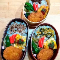 Snapdishの料理写真:コロッケ弁当| NOZUさん