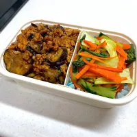 Snapdishの料理写真:11/5 自分弁当⁂ナスととりのピリ辛味噌そぼろ丼弁当| ゆさん