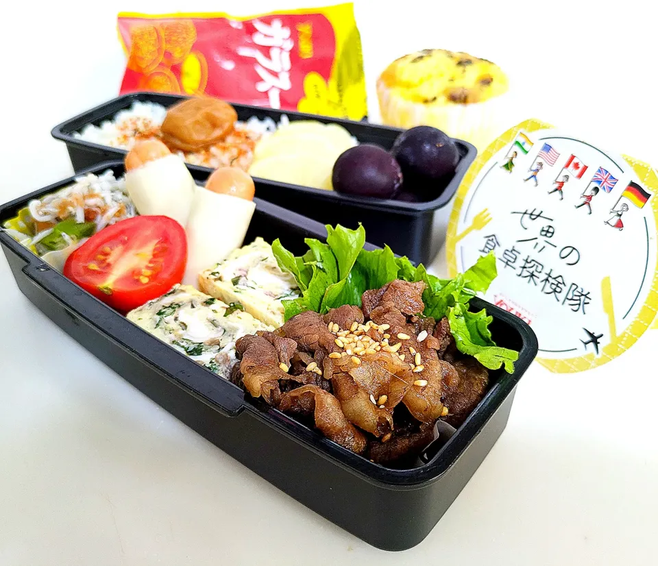 Snapdishの料理写真:🌏『世界の食卓探検隊』【お父たま弁当】|ayaさん