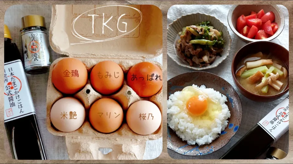 Snapdishの料理写真:TKG🥚|きつねさん