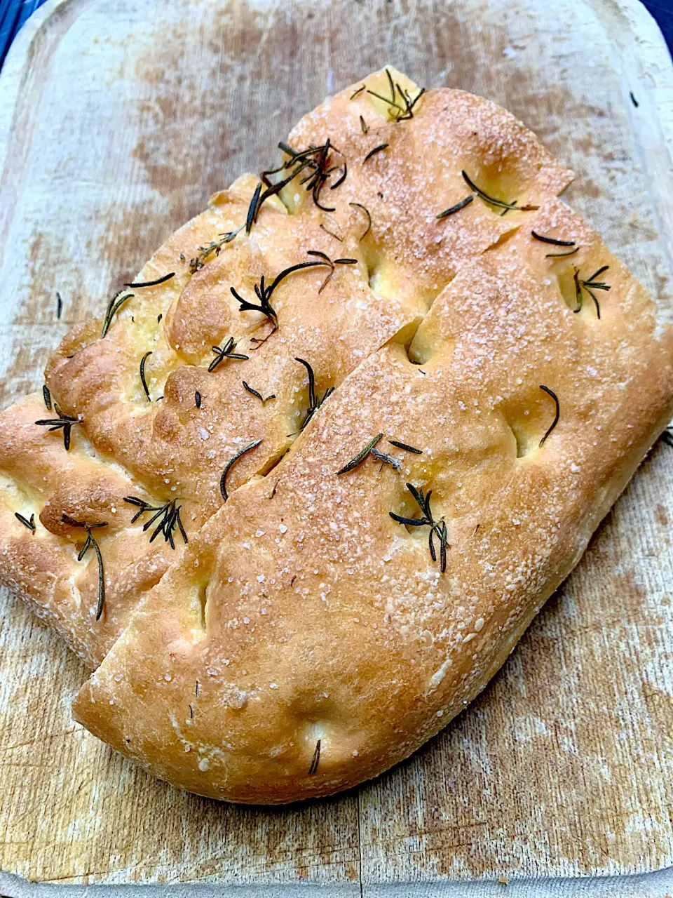 Focaccia Bread|gonbenさん