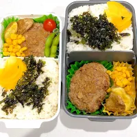 Snapdishの料理写真:娘と息子のお弁当🍱|megさん