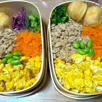 Snapdishの料理写真:そぼろ弁当🍱|ふみふみさん