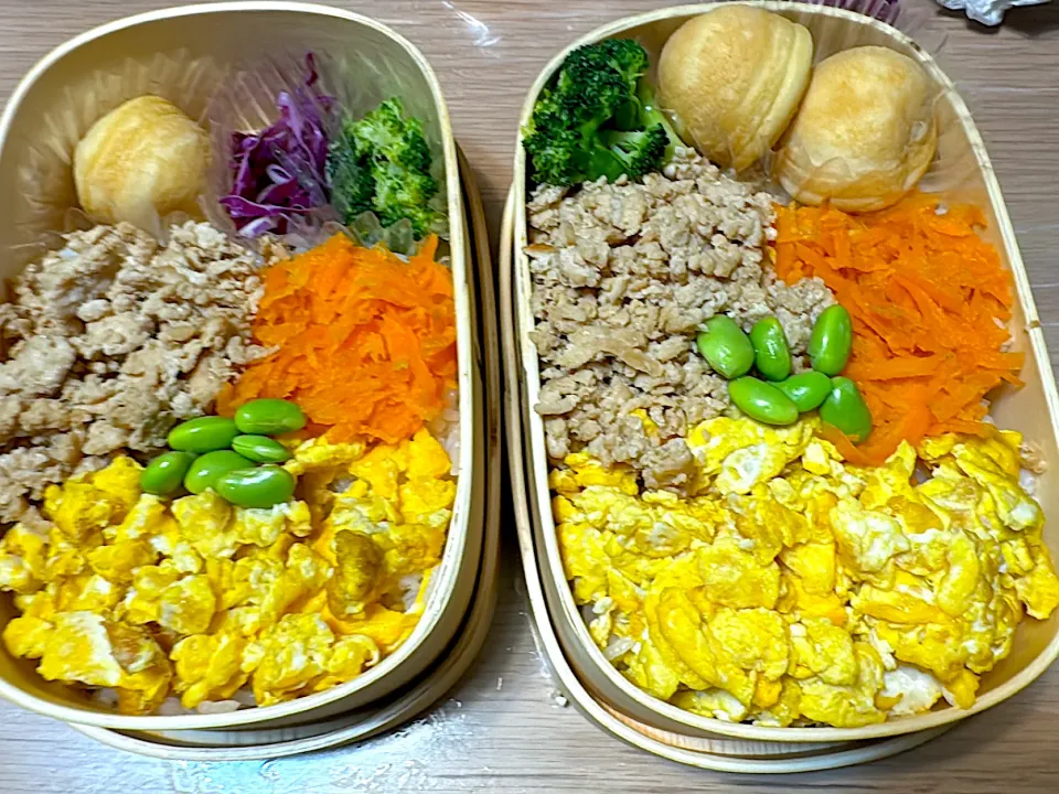 Snapdishの料理写真:そぼろ弁当🍱|ふみふみさん