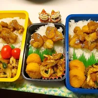 Snapdishの料理写真:夫弁当､娘弁当､息子弁当|みどりさん