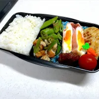 Snapdishの料理写真:11/6 旦那弁当⁂豆腐ハンバーグ弁当|ゆさん