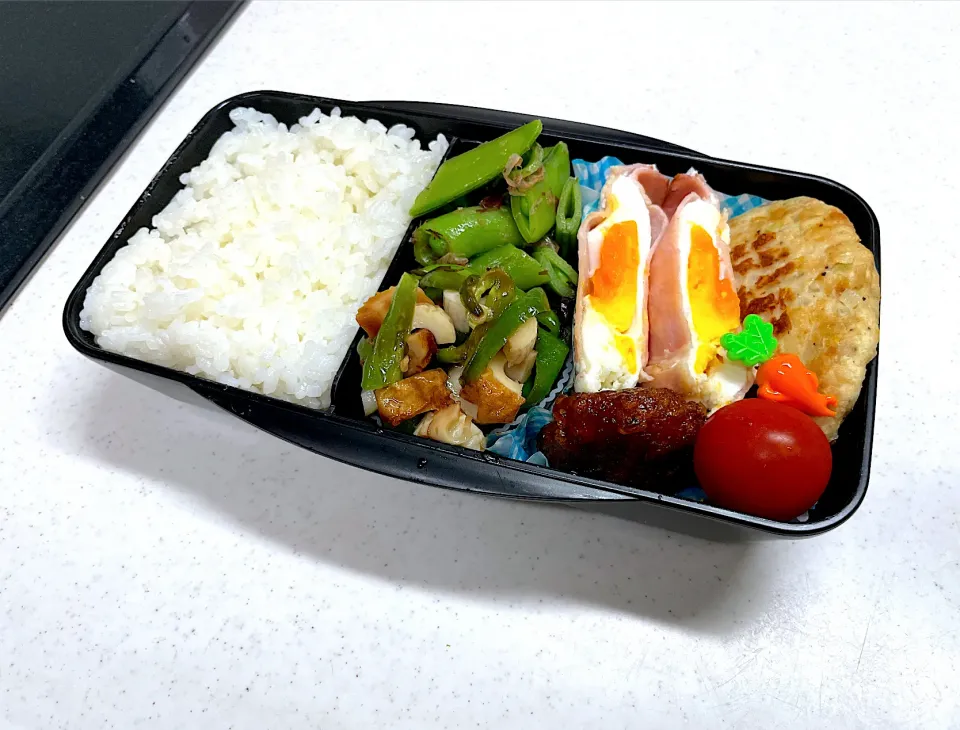 11/6 旦那弁当⁂豆腐ハンバーグ弁当|ゆさん