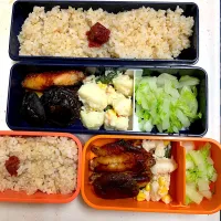 Snapdishの料理写真:今日のお弁当| Victoryageさん