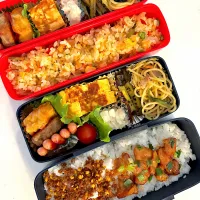 Snapdishの料理写真:今日のお弁当🍱|Chikaーーさん