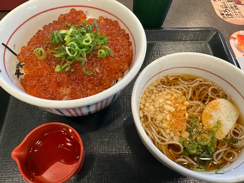 天然いくら丼豪快盛、ミニハイカラそばセット|buhizouさん