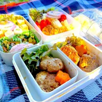 Snapdishの料理写真:遠足弁当|やすださん