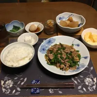 Snapdishの料理写真:ご飯、スタミナ炒め、大根とじゃがいもの煮物、小松菜のお浸し、味玉、沢庵、冷奴、麦茶、りんご(夕飯)| enarinさん