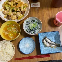 Snapdishの料理写真:夜　鶏胸肉と葱焼､フグ皮ポン酢､鰯生姜煮|みちくんさん