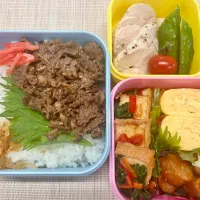 Snapdishの料理写真:三段弁当（牛・ひき肉・鶏・厚揚げ）|あめふくらさん