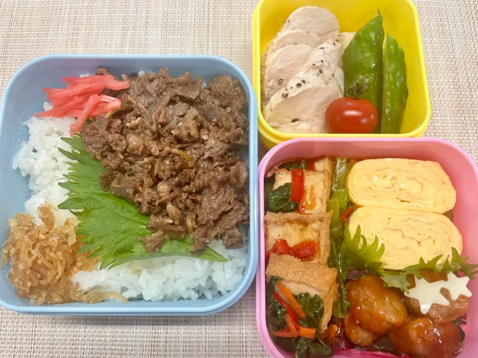 三段弁当（牛・ひき肉・鶏・厚揚げ）|あめふくらさん