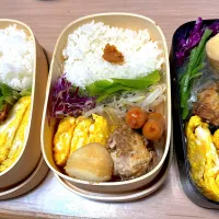 Snapdishの料理写真:ハンバーグ弁当🍱|ふみふみさん