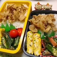 Snapdishの料理写真:夫弁当､娘弁当|みどりさん