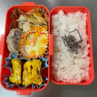 Snapdishの料理写真:ほっけとハンバーグ弁当| あおのりさん