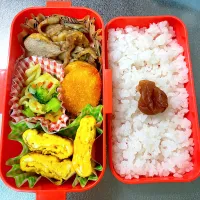 Snapdishの料理写真:ロース長芋炒め弁当|あおのりさん