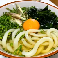 Snapdishの料理写真:かけうどん薬味添え（薬味トッピング後）|マニラ男さん