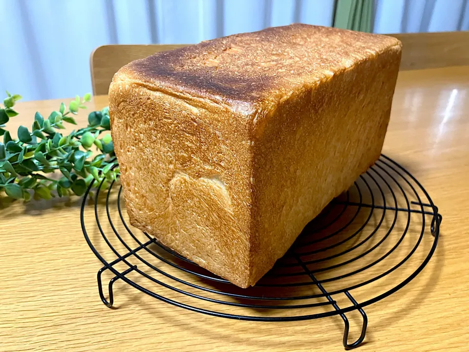 ＊角食パン🍞＊|＊抹茶＊さん