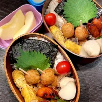 Snapdishの料理写真:鶏つくね弁当|雑草シェリーさん