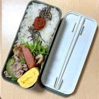 Snapdishの料理写真:お弁当シリーズ|しあぺんさん