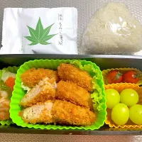 Snapdishの料理写真:今日のお弁当🍙20241108| rococoさん