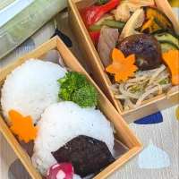 Snapdishの料理写真:本日のお弁当〜胸肉の甘辛炒め弁当| f.1125beさん