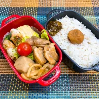 Snapdishの料理写真:今日の旦那さんのお弁当|naoさん